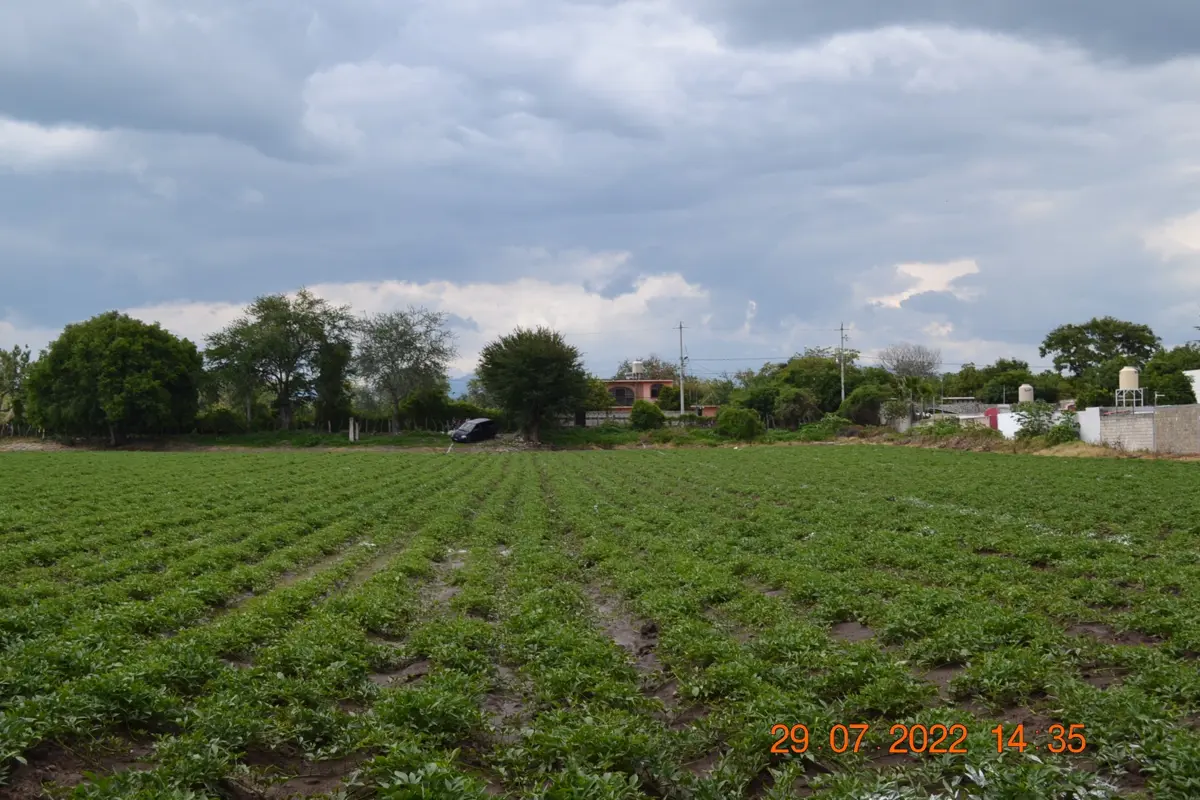 Terreno en venta en Jantetelco Centro, Jantetelco — foto 1 de 17