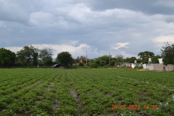 Terreno en venta en Jantetelco Centro, Jantetelco — foto 3 de 17