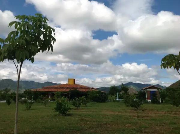 Finca-Rancho en venta en Villaflores Centro, Villaflores — foto 3 de 21