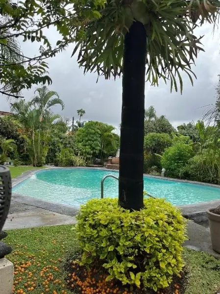 Casa en venta en Acapatzingo, Cuernavaca — foto 2 de 11