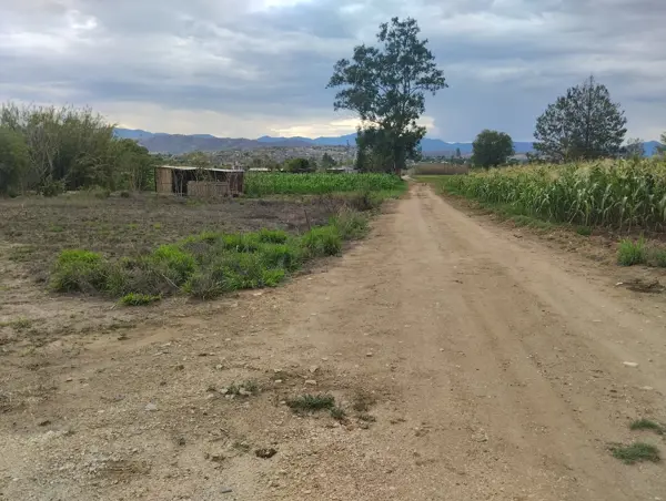 Terreno en venta en El Sabino, Soledad Etla — foto 3 de 3