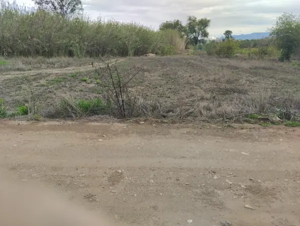 Terreno en venta en El Sabino, Soledad Etla — foto 2 de 3