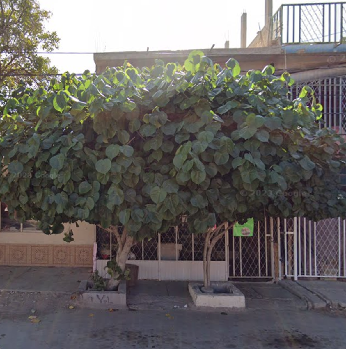 Casa en venta en La Merced, Torreón — foto 1 de 18