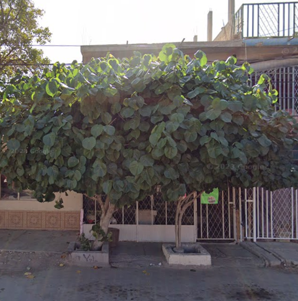 Casa en venta en La Merced, Torreón, Coahuila de Zaragoza