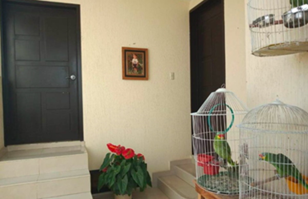 Casa en venta en Unidad Victoria, Toluca — foto 3 de 11