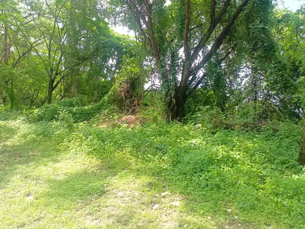 Terreno en venta en Club de Golf Hacienda San Gaspar, Jiutepec — foto 3 de 8