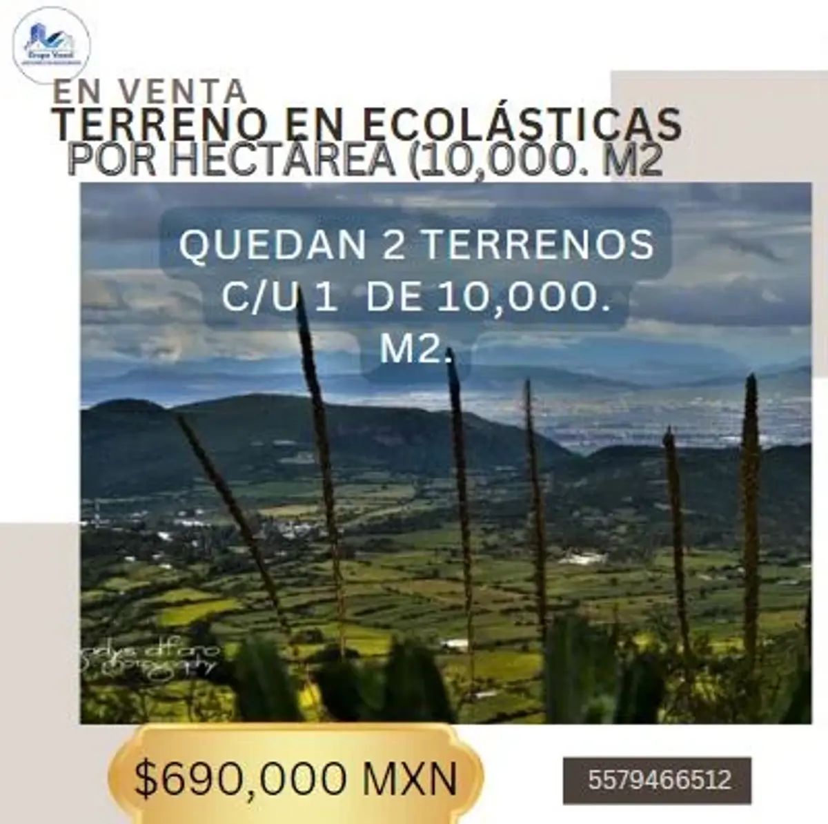 Finca-Rancho en venta en Escolastica, Pedro Escobedo — foto 1 de 8