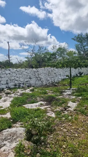 Terreno en venta en Centro Hunucmá, Hunucmá — foto 2 de 11