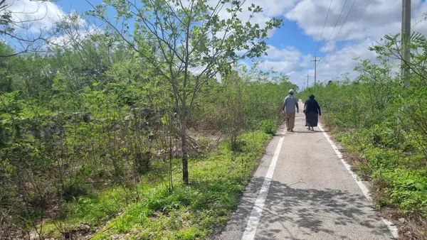 Terreno en venta en Centro Hunucmá, Hunucmá — foto 3 de 11