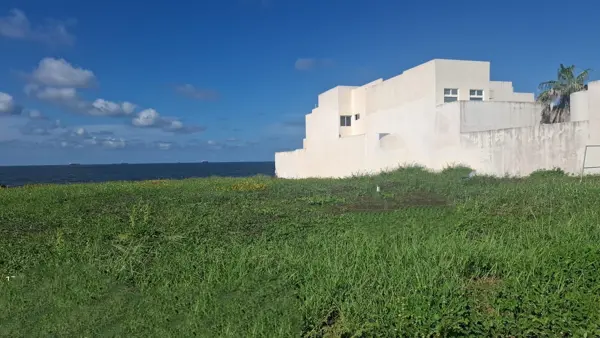Terreno en venta en Playas del Conchal, Alvarado — foto 2 de 10