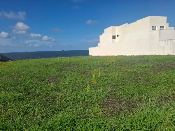 Terreno en venta en Playas del Conchal, Alvarado — foto 3 de 10