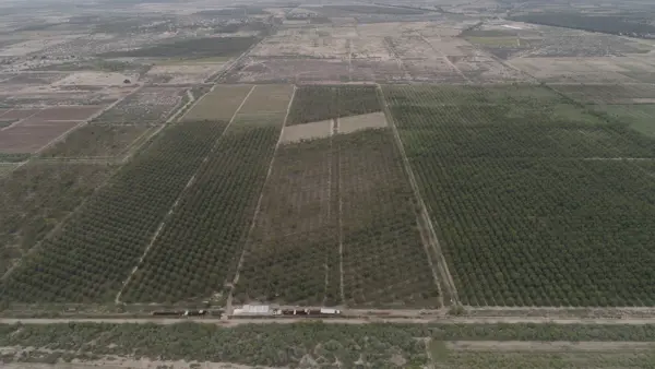 Terreno en venta en San Pedro Centro, San Pedro — foto 3 de 4