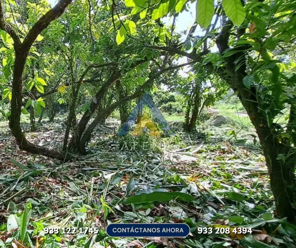 Terreno en venta en Comalcalco Centro, Comalcalco — foto 2 de 6