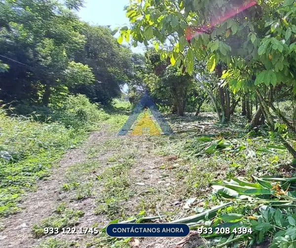 Terreno en venta en Comalcalco Centro, Comalcalco — foto 3 de 6