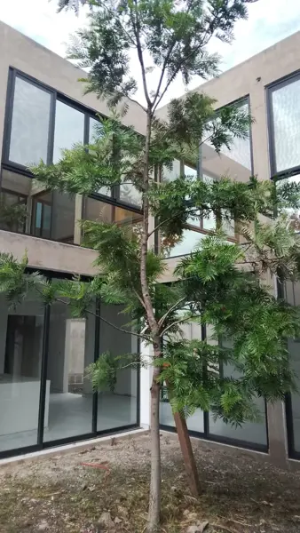Casa en venta en Real de Oaxtepec, Yautepec — foto 3 de 22