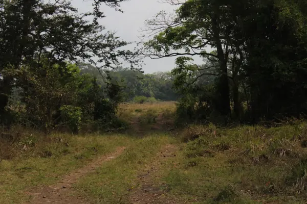 Terreno en venta en El Mangal, Medellín de Bravo — foto 3 de 3