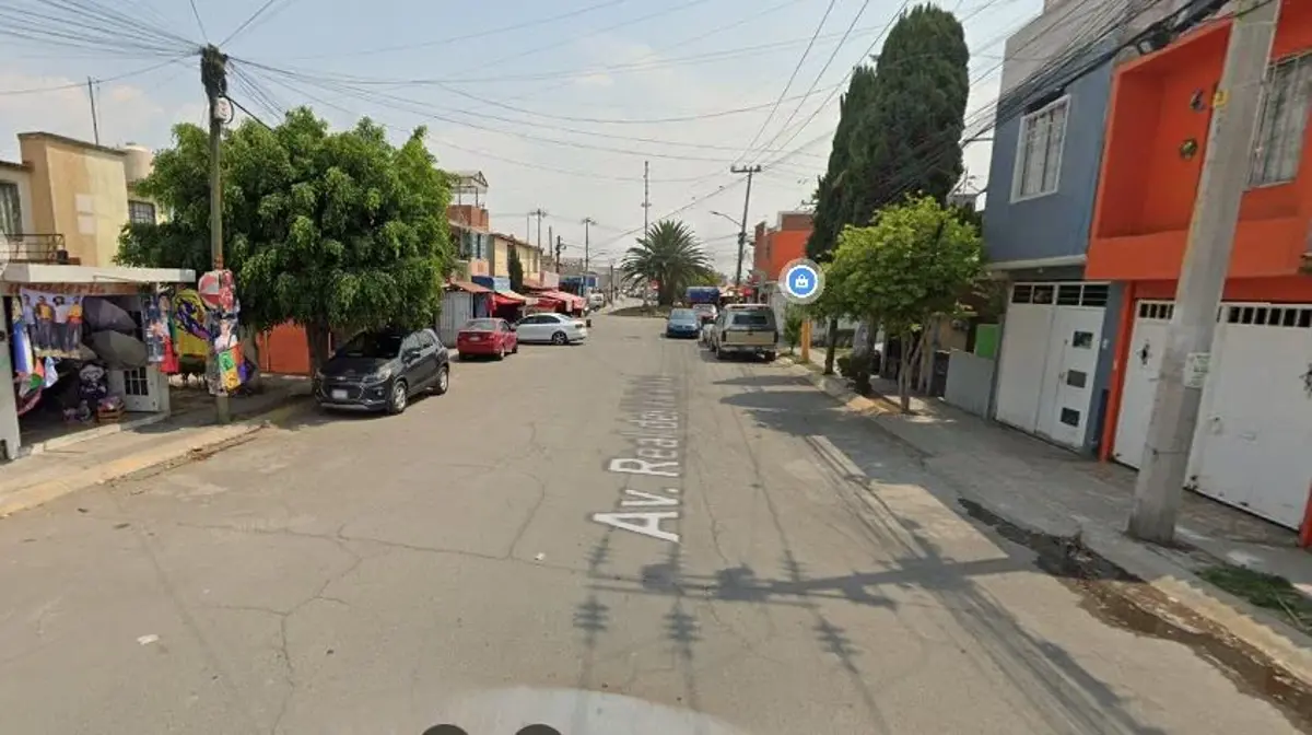 Imagen 5
