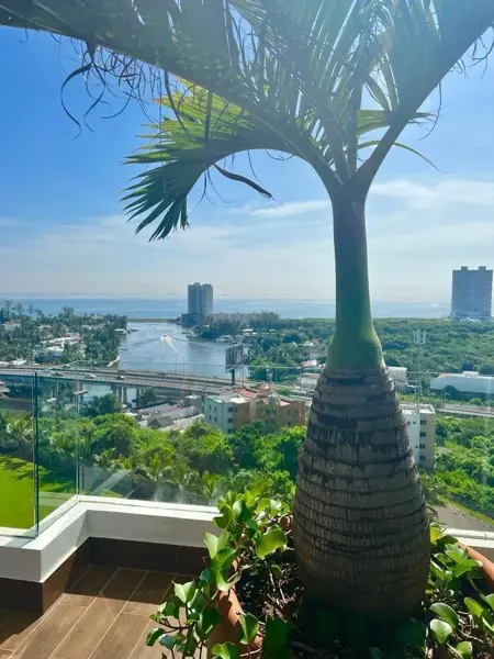 Departamento en renta en Paraíso del Estero (La Burbuja), Alvarado — foto 2 de 26