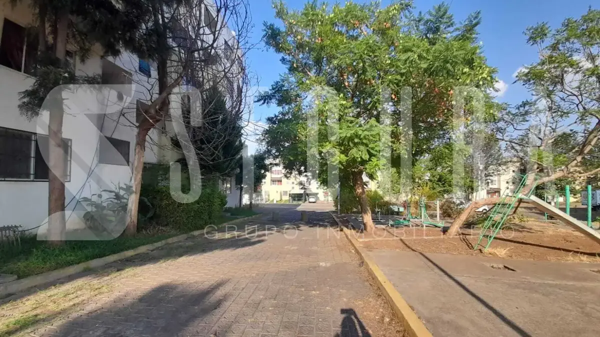 Imagen 2