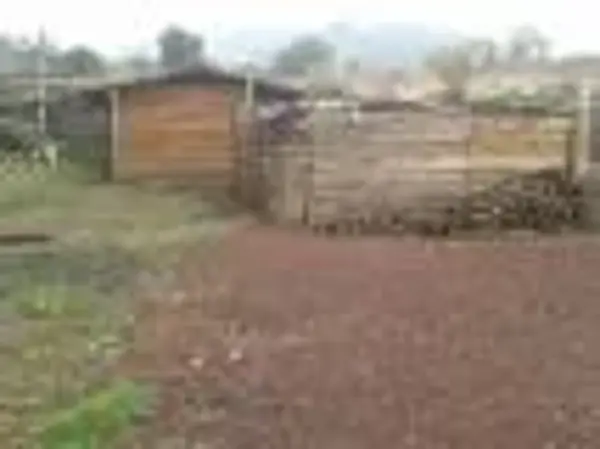 Terreno en venta en Centro San Pablo Oztotepec, Milpa Alta, Ciudad de México