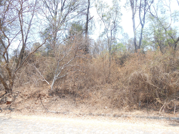 Terreno en venta en Agua Escondida, Ixtlahuacán de los Membrillos — foto 3 de 7