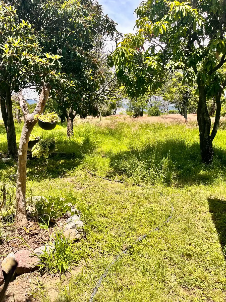 Terreno en venta en Solares de Tenextepec, Atlixco — foto 1 de 11