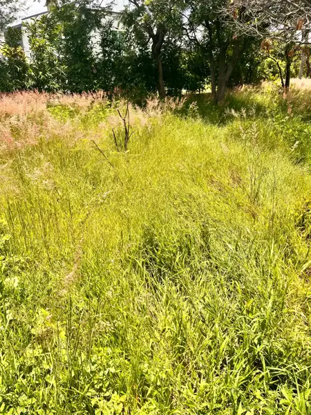 Terreno en venta en Solares de Tenextepec, Atlixco — foto 2 de 11