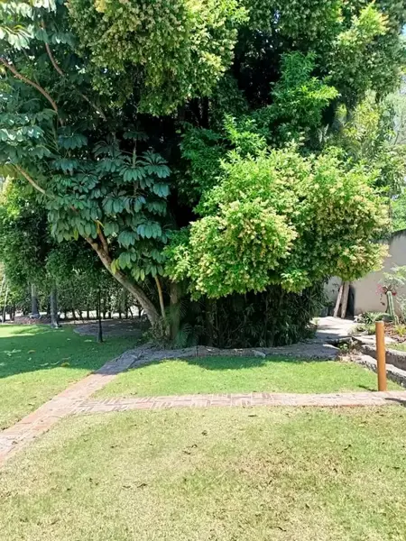 Casa en venta en Cocoyoc, Yautepec — foto 2 de 15