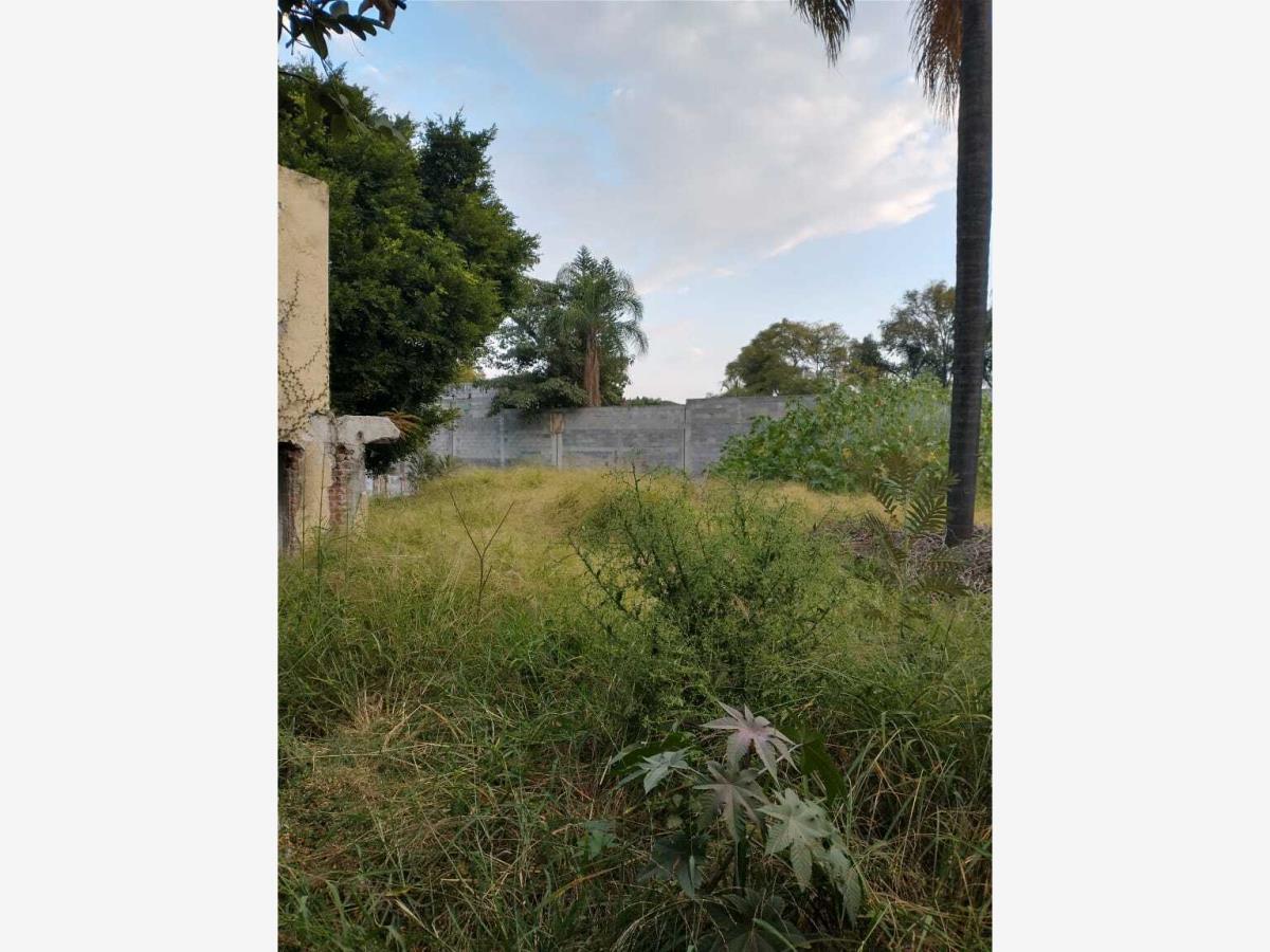 Terreno en venta en Delicias, Cuernavaca — foto 1 de 3