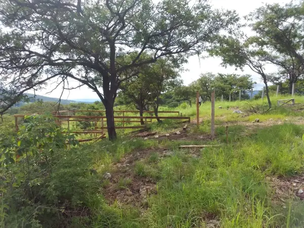 Terreno en venta en Copoya, Tuxtla Gutiérrez — foto 3 de 8
