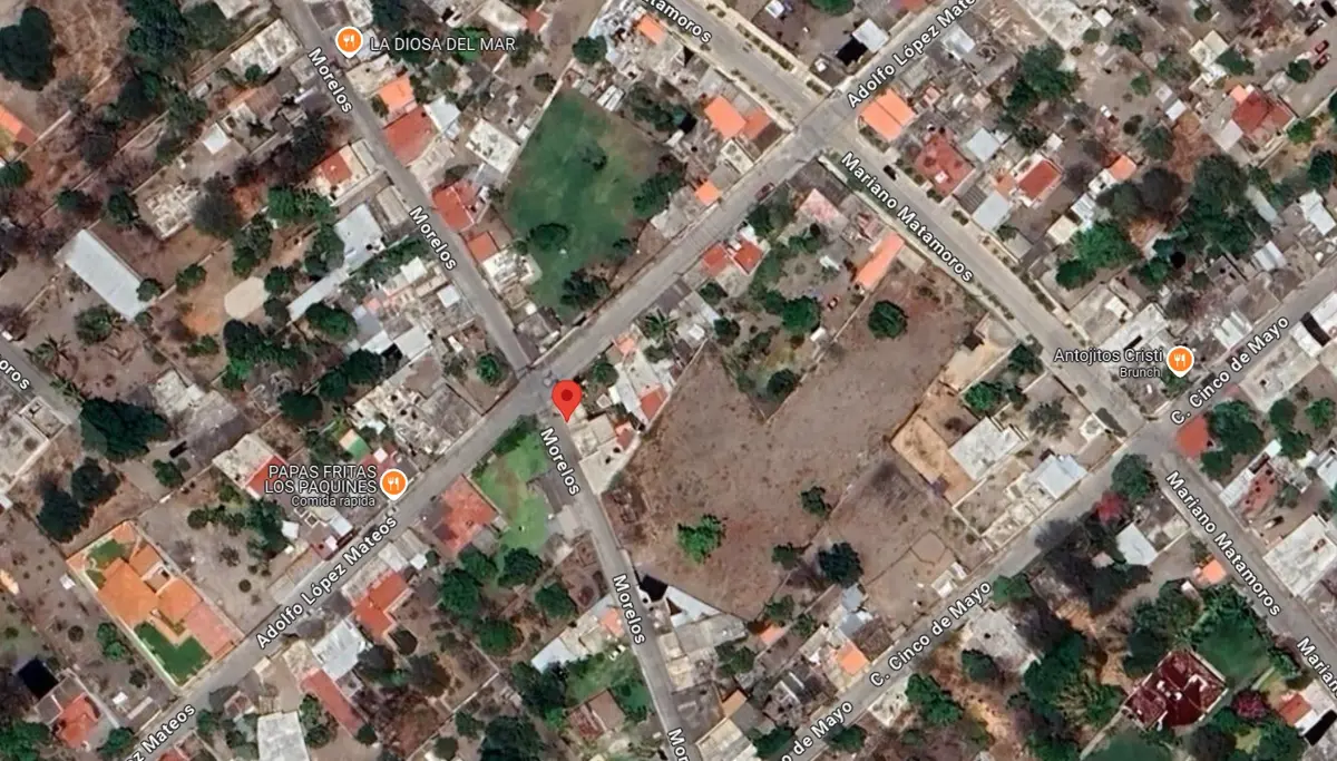 Imagen 5