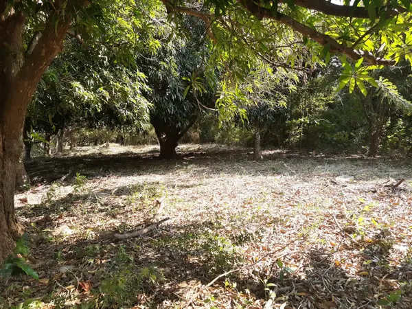 Terreno en venta en Barrio El Carmen, Arriaga — foto 3 de 10