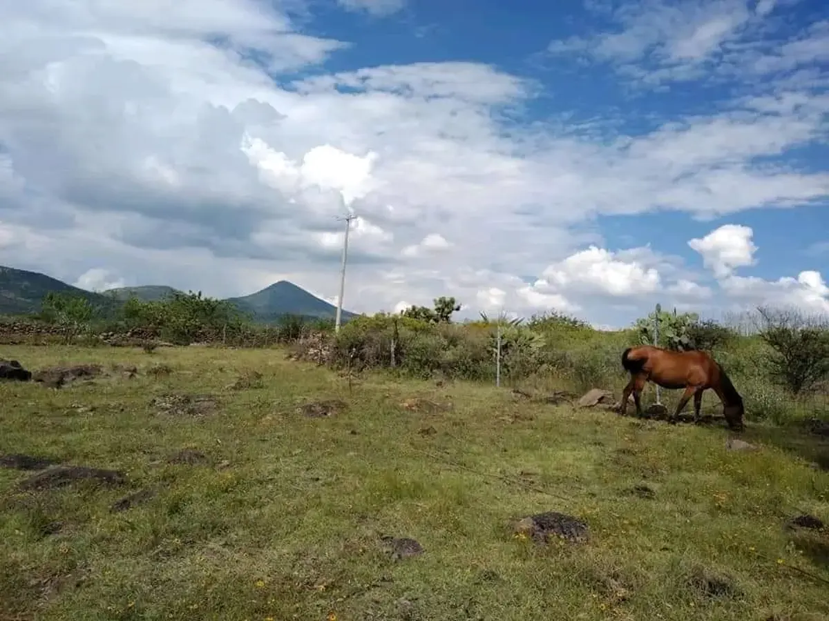 Terreno en venta en La Purísima, Cortazar — foto 1 de 6