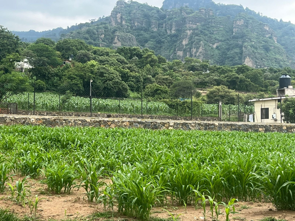 Terreno en venta en Amatlán de Quetzalcóatl, Tepoztlán — foto 3 de 4