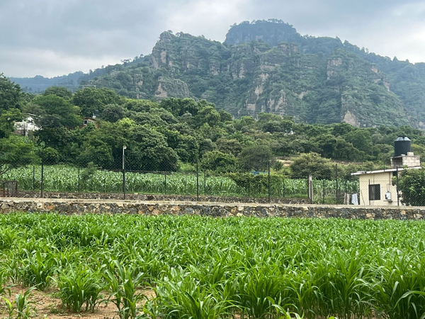 Terreno en venta en Amatlán de Quetzalcóatl, Tepoztlán — foto 2 de 4
