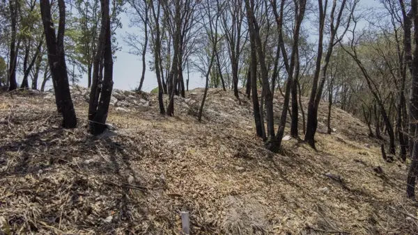 Terreno en venta en Campestre Haras, Amozoc — foto 2 de 4