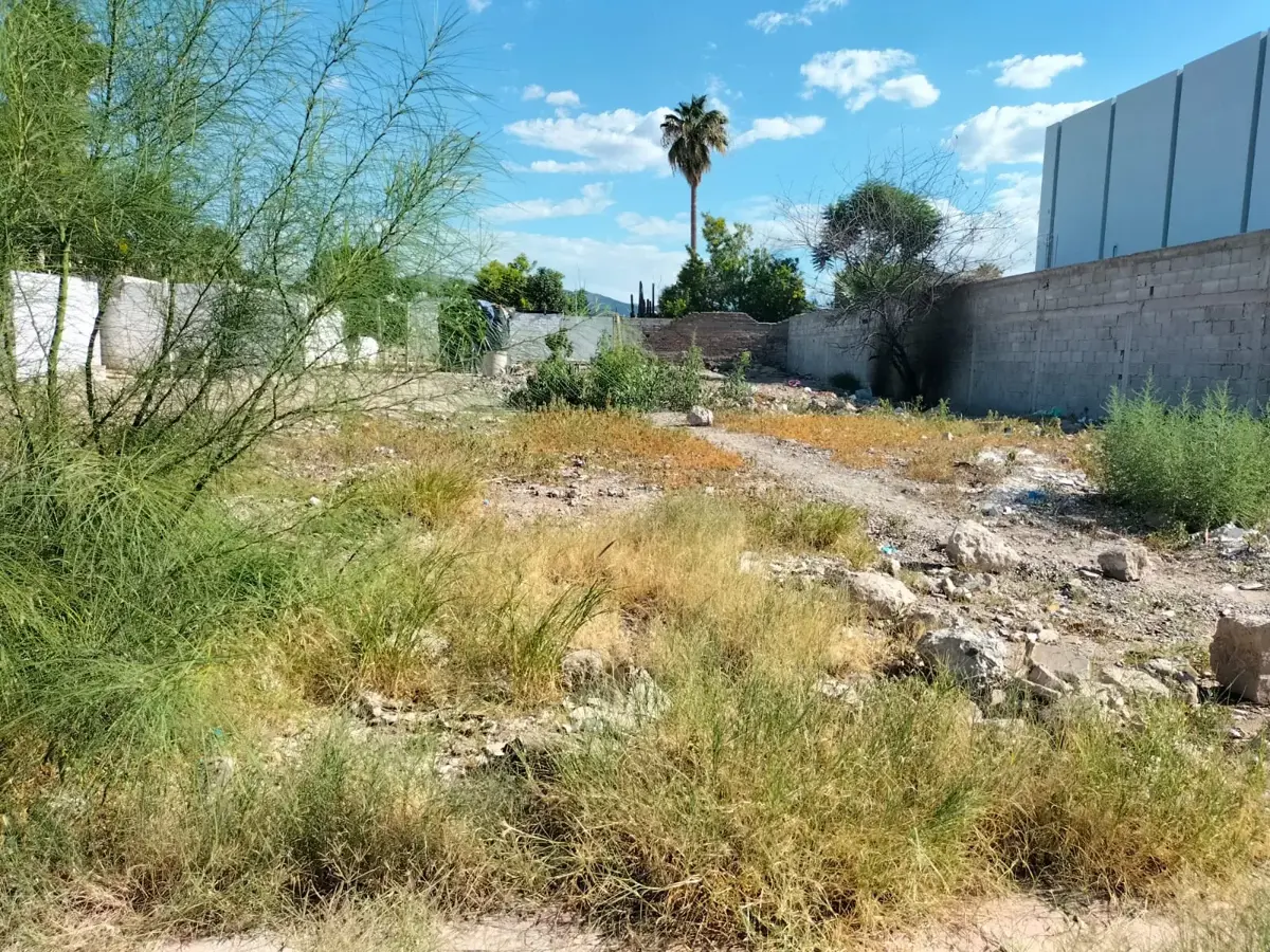 Terreno en venta en Lerdo Centro, Lerdo — foto 1 de 11