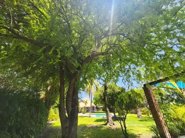 Casa en venta en Chiconcuac, Xochitepec — foto 2 de 22