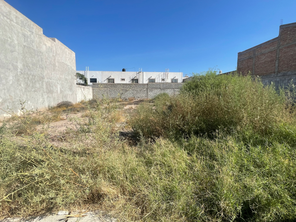 Terreno en venta en Los Viñedos, Torreón — foto 3 de 6