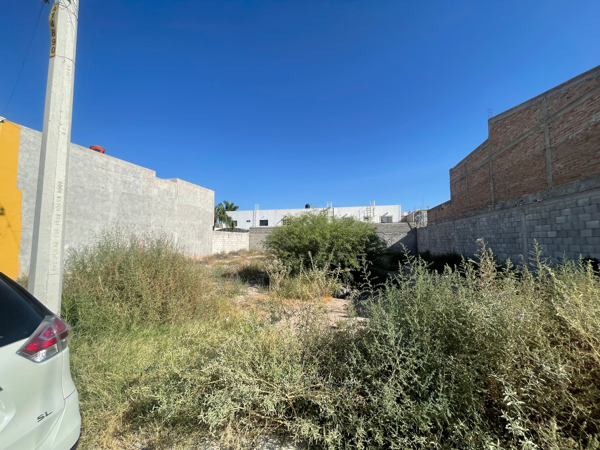 Terreno en venta en Los Viñedos, Torreón — foto 3 de 6