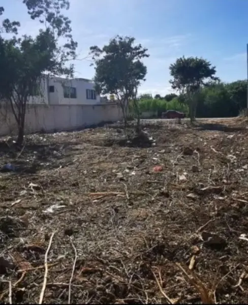 Terreno en venta en Dzitya, Mérida — foto 3 de 9