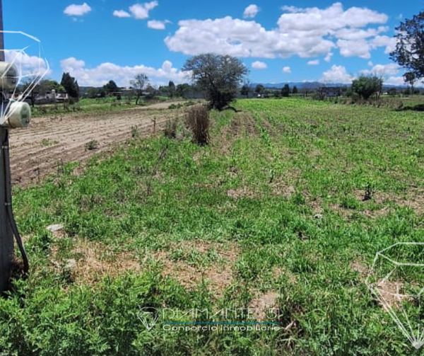 Terreno en venta en Santa Maria Texcalac, Apizaco — foto 3 de 5