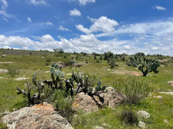 Terreno en venta en San Miguel Tlaxcaltepec (Barrio Centro), Amealco de Bonfil — foto 3 de 32