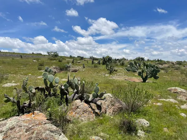 Terreno en venta en San Miguel Tlaxcaltepec (Barrio Centro), Amealco de Bonfil — foto 2 de 32