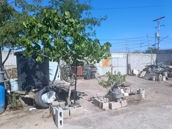 Terreno en venta en El Ranchito, Torreón — foto 2 de 6