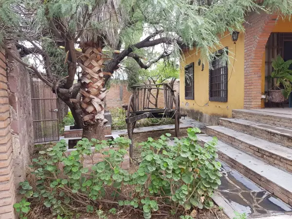 Casa en venta y renta en Del Socorro, Tepezalá, Aguascalientes