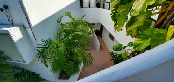 Departamento en renta en Colinas de Santiago, Manzanillo — foto 3 de 14