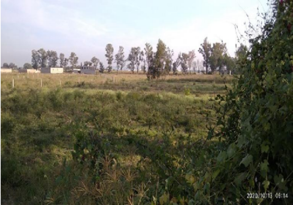 Terreno en venta en Zapote del Valle, Tlajomulco de Zúñiga — foto 3 de 7