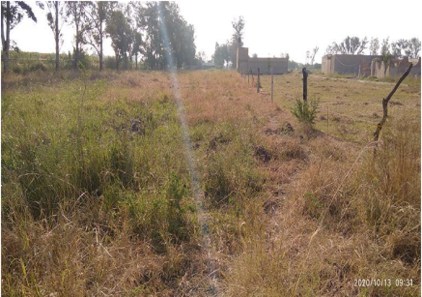 Terreno en venta en Santa Cruz del Valle, Tlajomulco de Zúñiga — foto 2 de 7