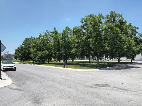 Terreno en venta en La Escondida, Saltillo — foto 3 de 4